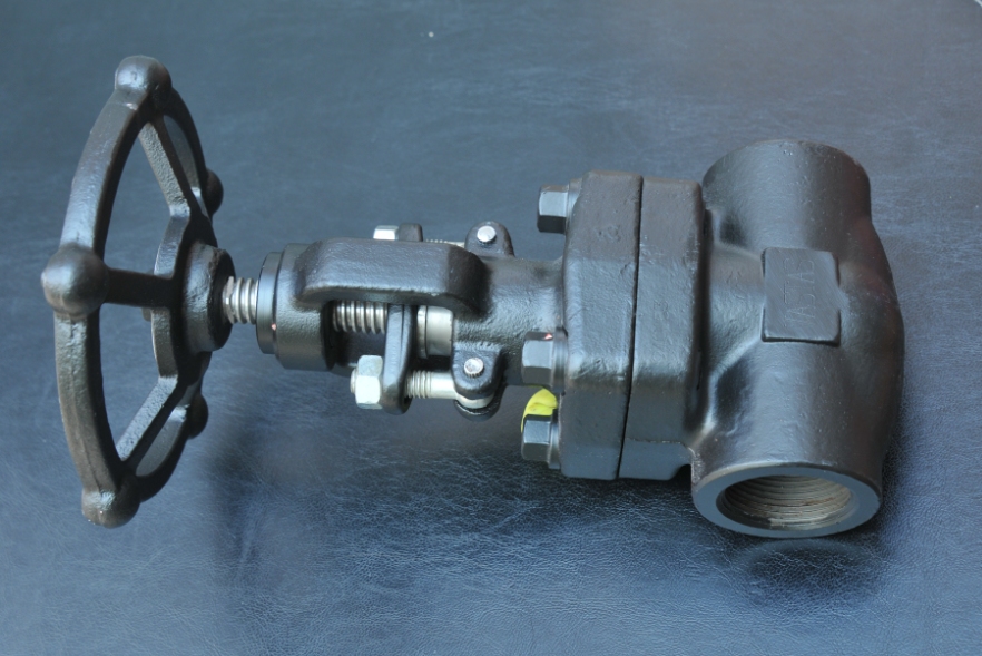 E304 - Compact Forged Globe Valve