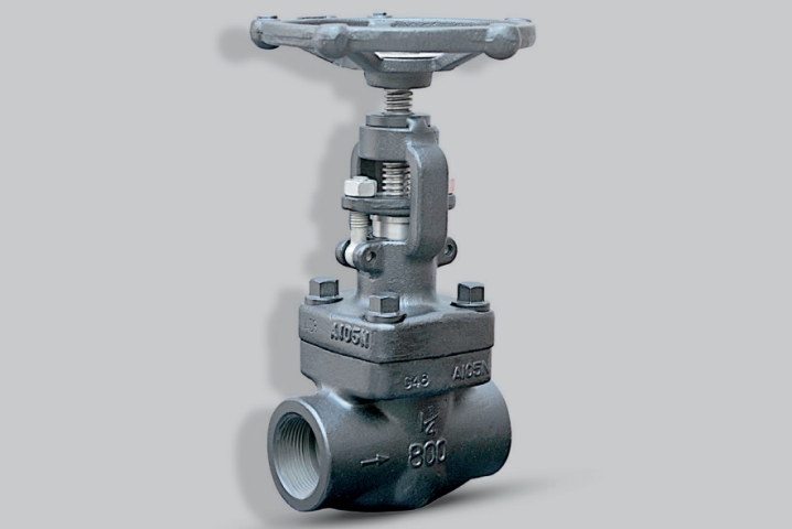 E304 Compact Forged Globe Valve