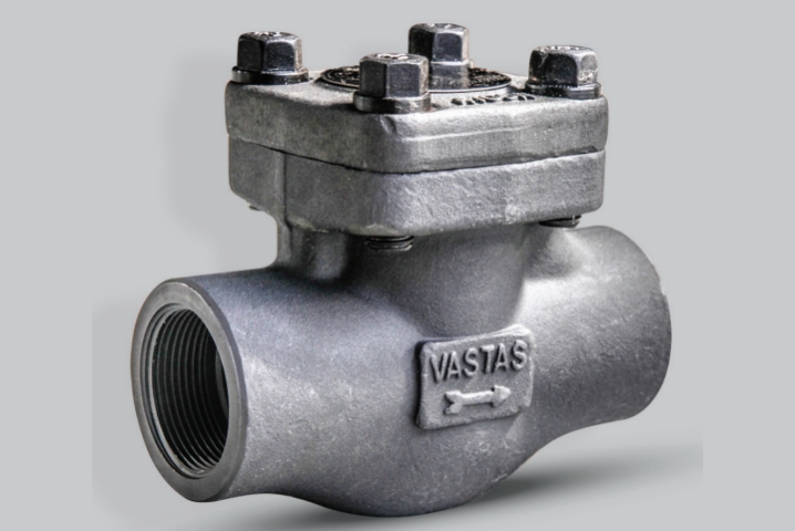 E404 - Compact Forged Check Valve