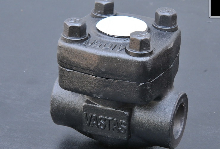 E404 Compact Forged Check Valve