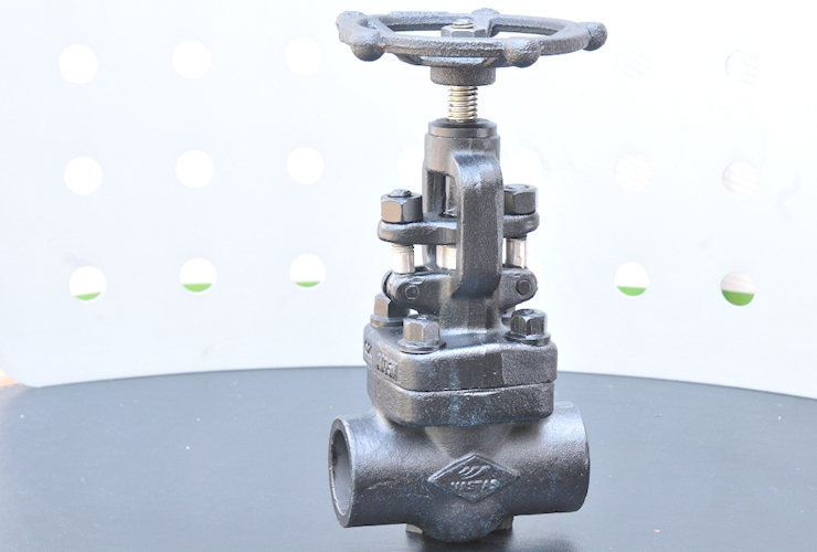 E504/E505 Compact Forged Gate Valve