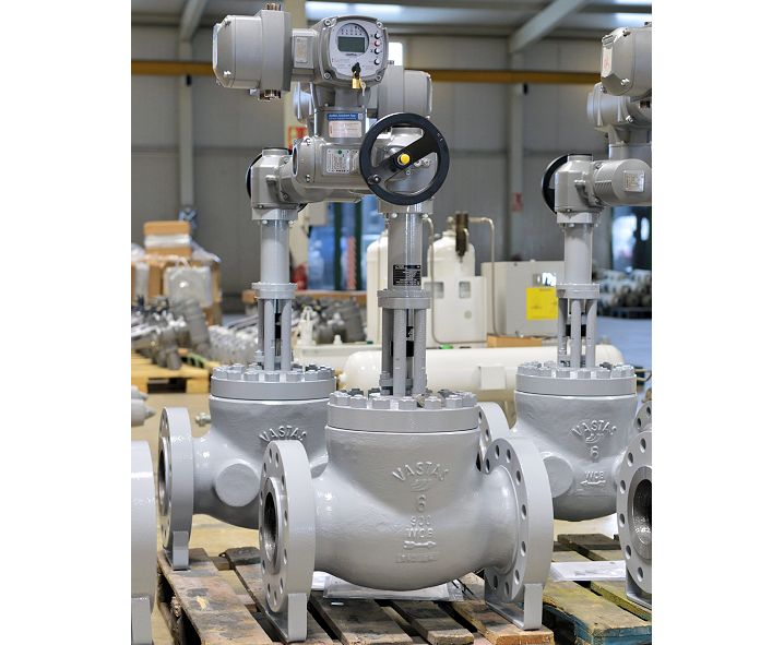 E30C - Globe Type Control Valve, Cage & Piston Disc