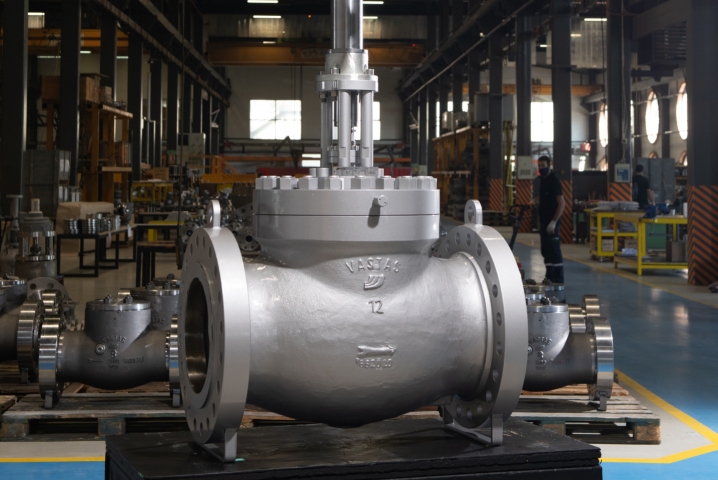 E30C Globe Valve - Control Valve