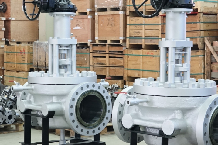 E10D Wedge Plug Valve